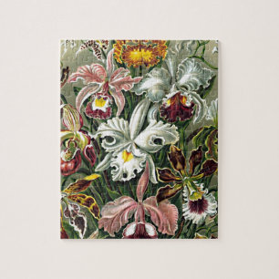 Puzzle Haeckel Rose Blanc Jaune Orchidée Fleurs Peinture