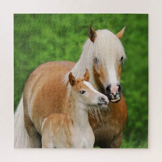 Puzzle Haflinger Horses Joli Fosse Kiss maman Photo - Jeu (Vertical)