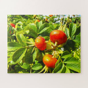 Puzzle hanches roses