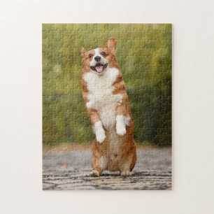 Puzzle Happy Corgi Puppy photo debout