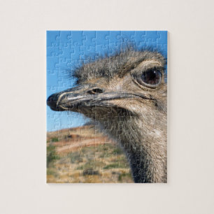 Puzzle Harry the Happy Ostrich