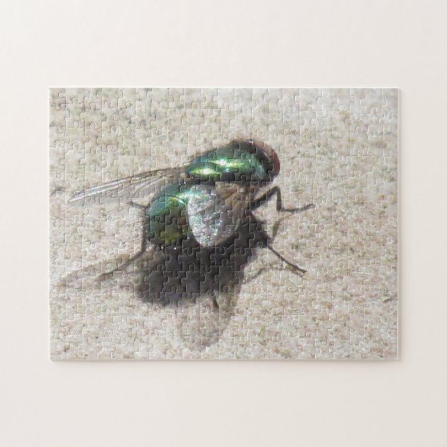 Puzzle - Hausfliegen (Horizontal)