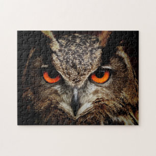 Puzzle Hauteur de la chouette avec yeux orange