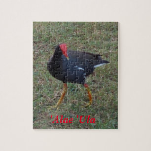 Puzzle-Hawaii-Vogel