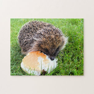 PUZZLE HÉDGEHOG