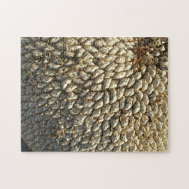 Puzzle - Herausforderung für Sonnenblumen