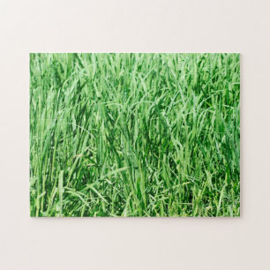 Puzzle Herbe verte