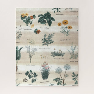 Puzzle Herbes Fleurs Plantes