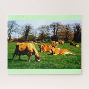Puzzle Herd of Jersey cows