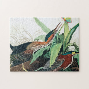 Puzzle Heron vert par John James Audubon
