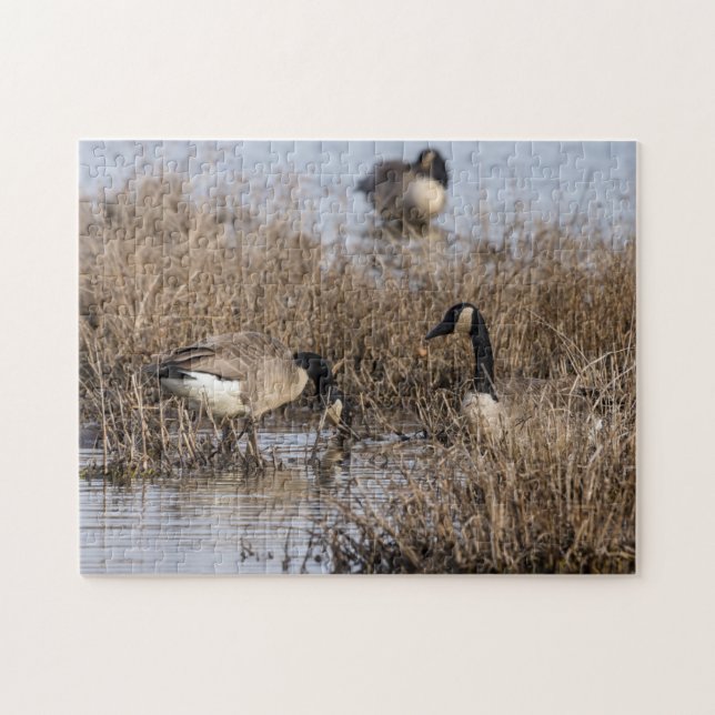 Puzzle Heure de la collation des oies canadiennes (Horizontal)