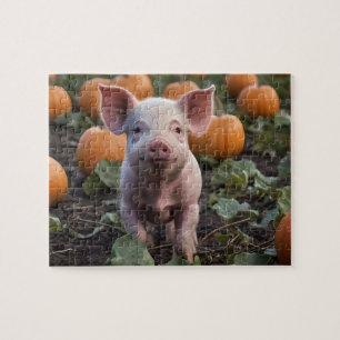 Puzzle Heureux Comme Un Cochon Bébé Dans Un Patch Citroui
