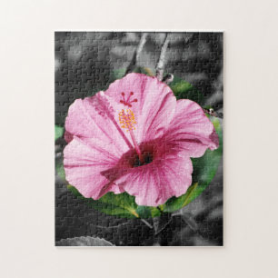 Puzzle Hibiscus rose