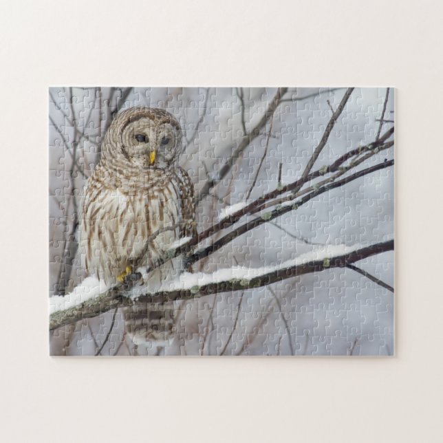 Puzzle Hibou barré avec chutes de neige légères (Horizontal)
