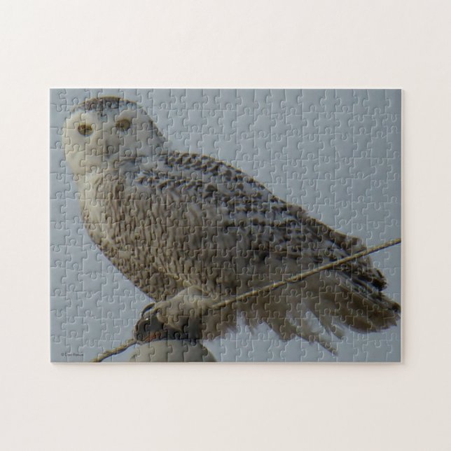Puzzle Hibou de B38 Milou (Horizontal)