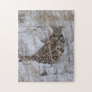 Puzzle Hibou des marais B11