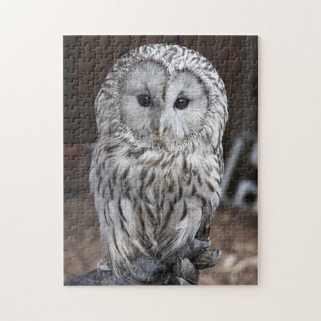 Puzzle Hibou d'Ural (Vertical)