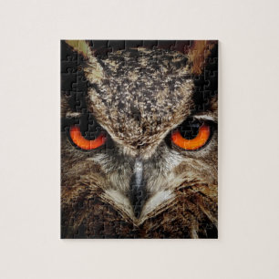 Puzzle Hibou féroce