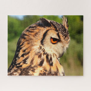 Puzzle Hibou moyen-duc - Oiseaux de proie.