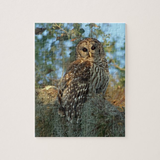 Puzzle Hibou moyen-duc perché dans de la mousse d'Espagne (Vertical)