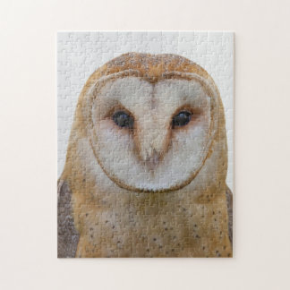 Puzzle Hibou Visez la faune des oiseaux