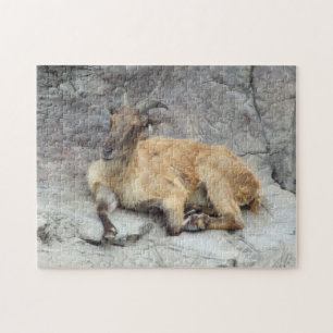 Puzzle Himalayan Tahr