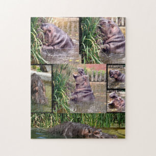 Puzzle Hippo Photo Collage,