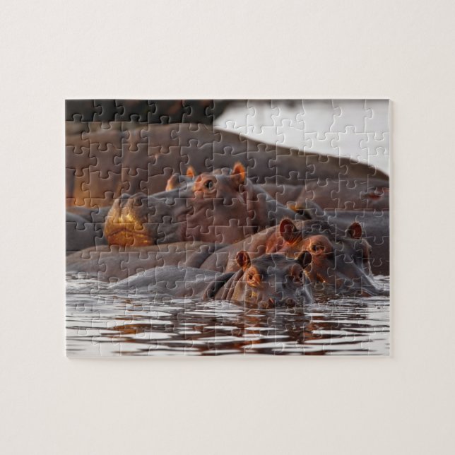 Puzzle Hippopotamus, Hippopotamus amphibius, lac (Horizontal)