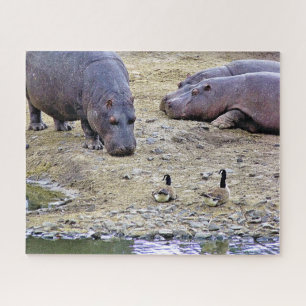 PUZZLE HIPPOS