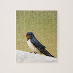 Puzzle Hirondelle sur un rebord en bois