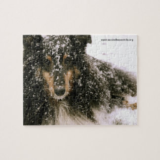 Puzzle Hiver Sheltie