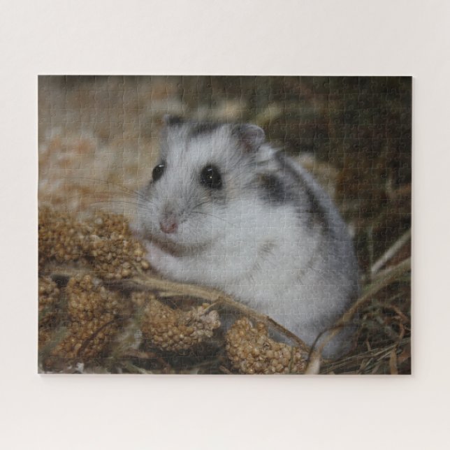 Puzzle Hiver White Nwarster Hamster Pet (Horizontal)