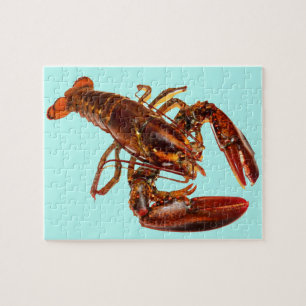 Puzzle Homard