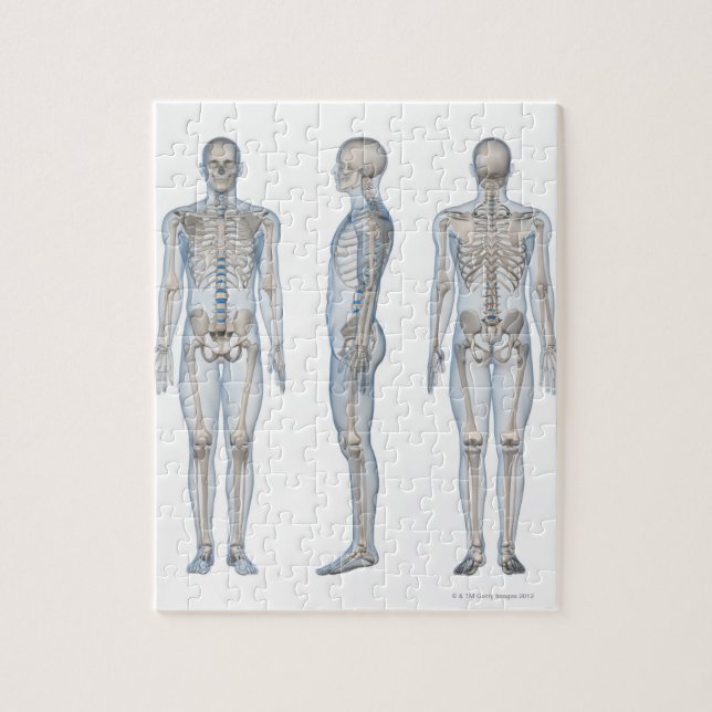 Puzzle Homme Skeleton 2 (Vertical)