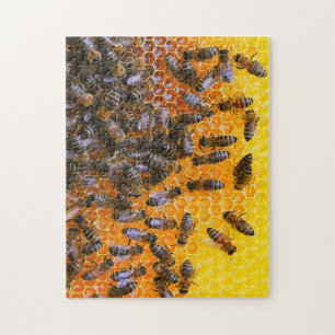 PUZZLE HONEY BEES