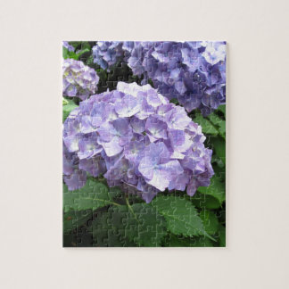 Puzzle Hortensias aux jardins de Trebah, les Cornouailles