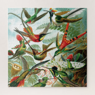 Puzzle Hummingbirds par Ernst Haeckel