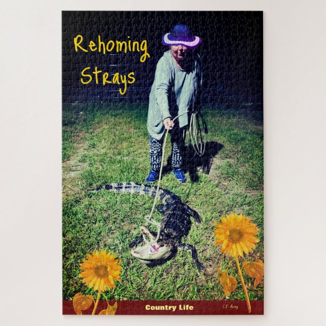 Puzzle Humour du pays — Rehoming Strays (Vertical)