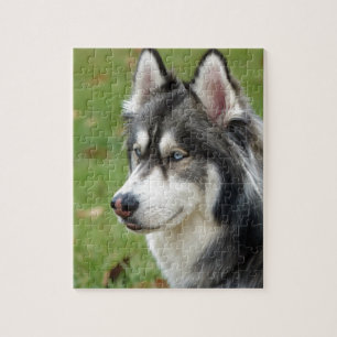 Puzzle Husky
