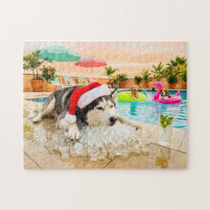 Puzzle Husky sur les rochers à Noël
