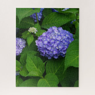 Puzzle Hydrangea lavande