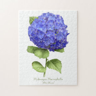 Puzzle Hydrangée bleue