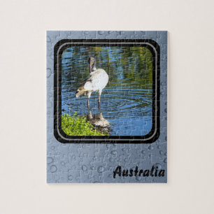 Puzzle Ibis blanc