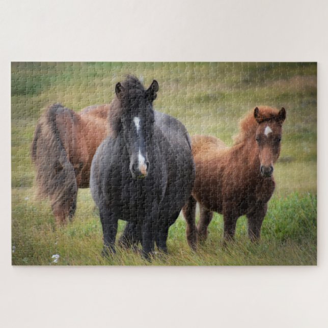 Puzzle Iceland Horses Nature (Horizontal)