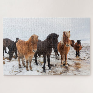 Puzzle Icelandic Horse During Winter Iceland