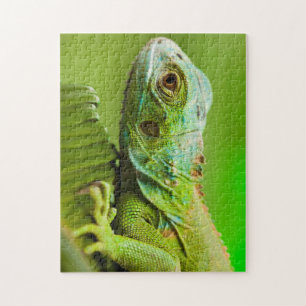 Puzzle Iguana dans le désert