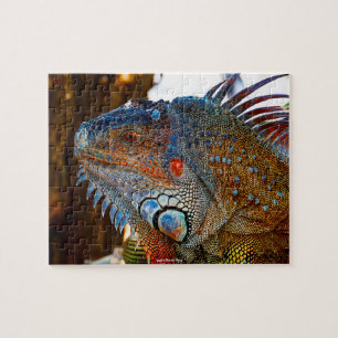 Puzzle Iguane Keys de Floride