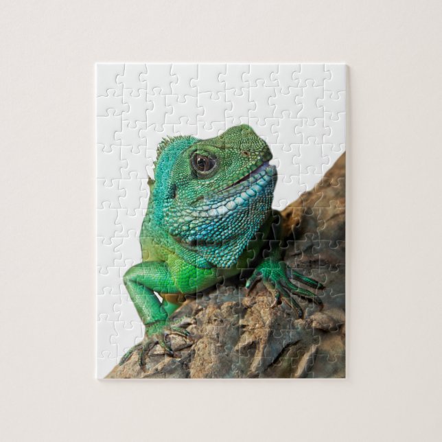 Puzzle Iguane vert (Vertical)