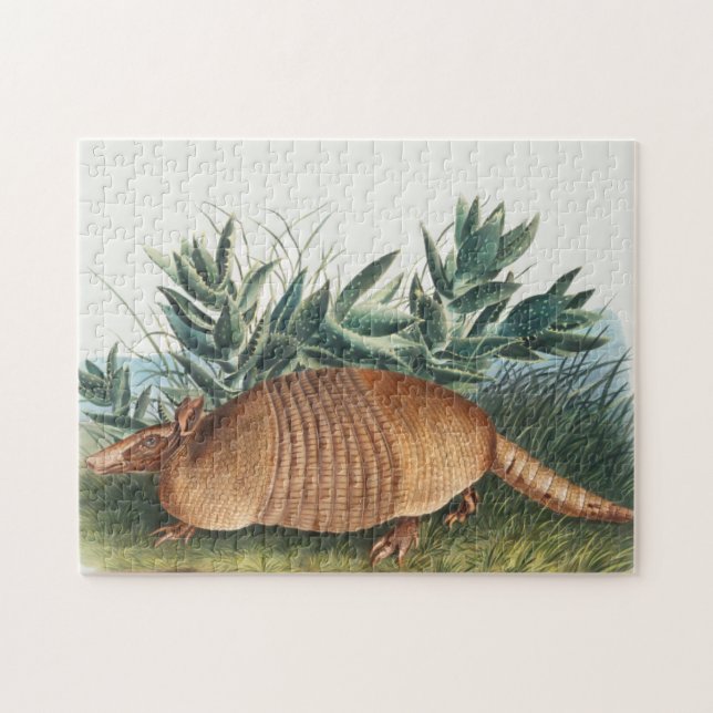Puzzle Illustration d'Armadillo Vintage (Horizontal)