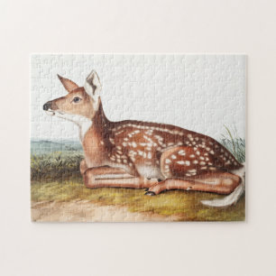 Puzzle Illustration de American Deer (Cervus Virginianus)